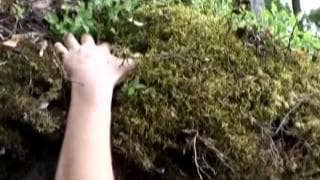 Verifica la tua età