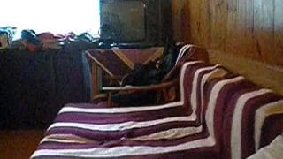 Verifica la tua età