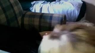 Verifica la tua età