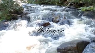 Una mora che si rilassa in riva al fiume