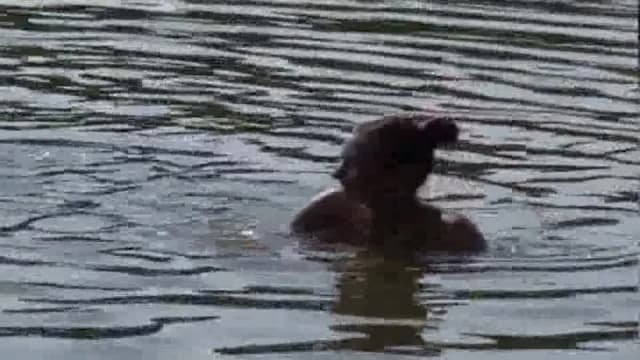 Verifica la tua età