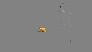 Verifica la tua età