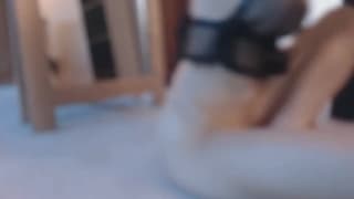 Verifica la tua età