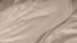 Verifica la tua età
