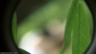 Verifica la tua età