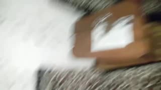 Verifica la tua età