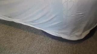 Verifica la tua età