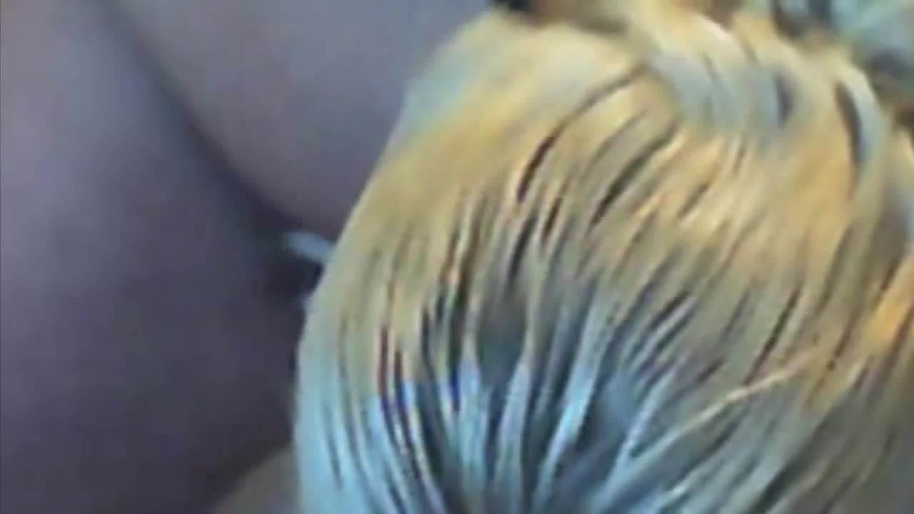 Verifica la tua età