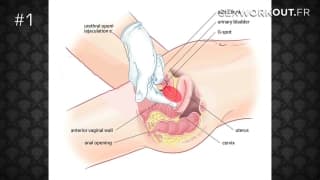 How2fuck: 50 tecniche per leccare una figa