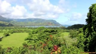 Verifica la tua età