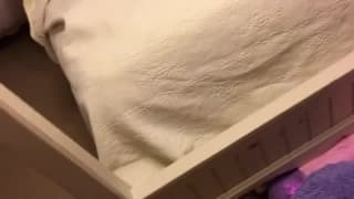 Verifica la tua età