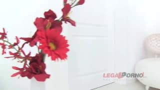 Verifica la tua età