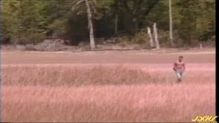 Verifica la tua età