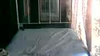 Verifica la tua età