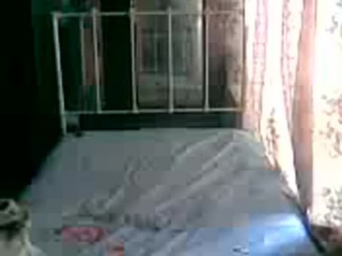 Verifica la tua età