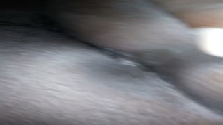 Verifica la tua età