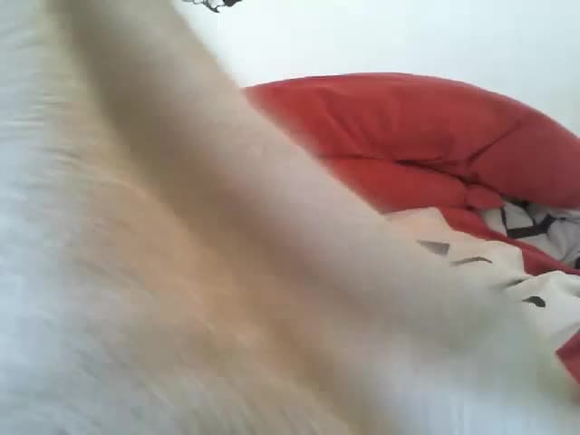 Verifica la tua età