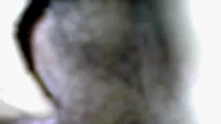 Questa figa pelosa è filmata da vicino Questa figa pelosa è filmata da vicino