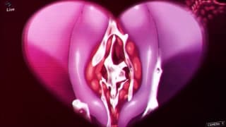 Ecco com'è farsi scopare da una sexy aliena rosa Ecco com'è farsi scopare da una sexy aliena rosa