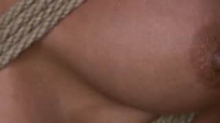 Verifica la tua età