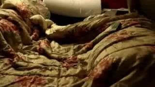 Verifica la tua età