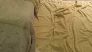 Verifica la tua età