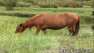 Uomini latini gay impegnati a scoparli il culo