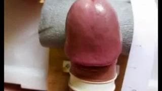 Una sega a casa per questo cazzo eccitato