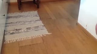 Verifica la tua età