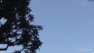 Verifica la tua età