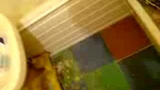 Verifica la tua età