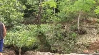 Verifica la tua età