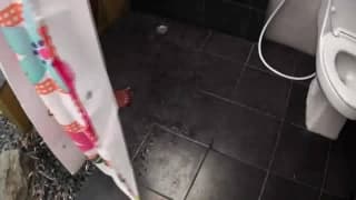 Verifica la tua età