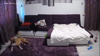 Verifica la tua età