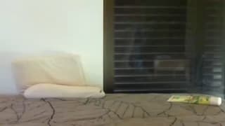 Verifica la tua età
