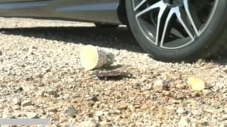 Verifica la tua età