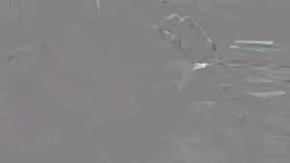 Verifica la tua età