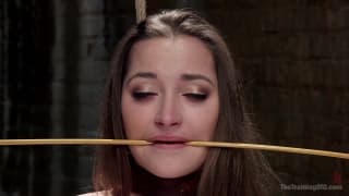 Dani Daniels si fa dominare e penetrare Dani Daniels si fa dominare e penetrare