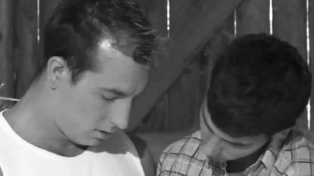 Verifica la tua età