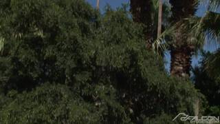 Verifica la tua età