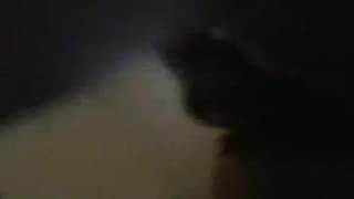 Verifica la tua età