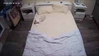 Lola cavalca il suo fidanzato a letto Lola cavalca il suo fidanzato a letto
