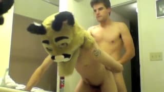 La mascotte dell'università è inculata La mascotte dell'università è inculata