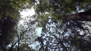 Verifica la tua età