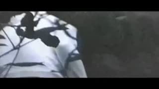 Verifica la tua età