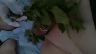 Lui si diverte a usare delle foglie sul suo cazzo Lui si diverte a usare delle foglie sul suo cazzo