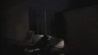 Loro scopano al buio ma noi vedremo tutto Loro scopano al buio ma noi vedremo tutto