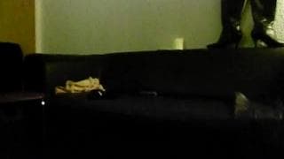 Verifica la tua età