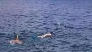 Questi subacquei esperti fanno sesso