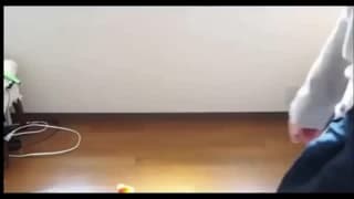 Verifica la tua età